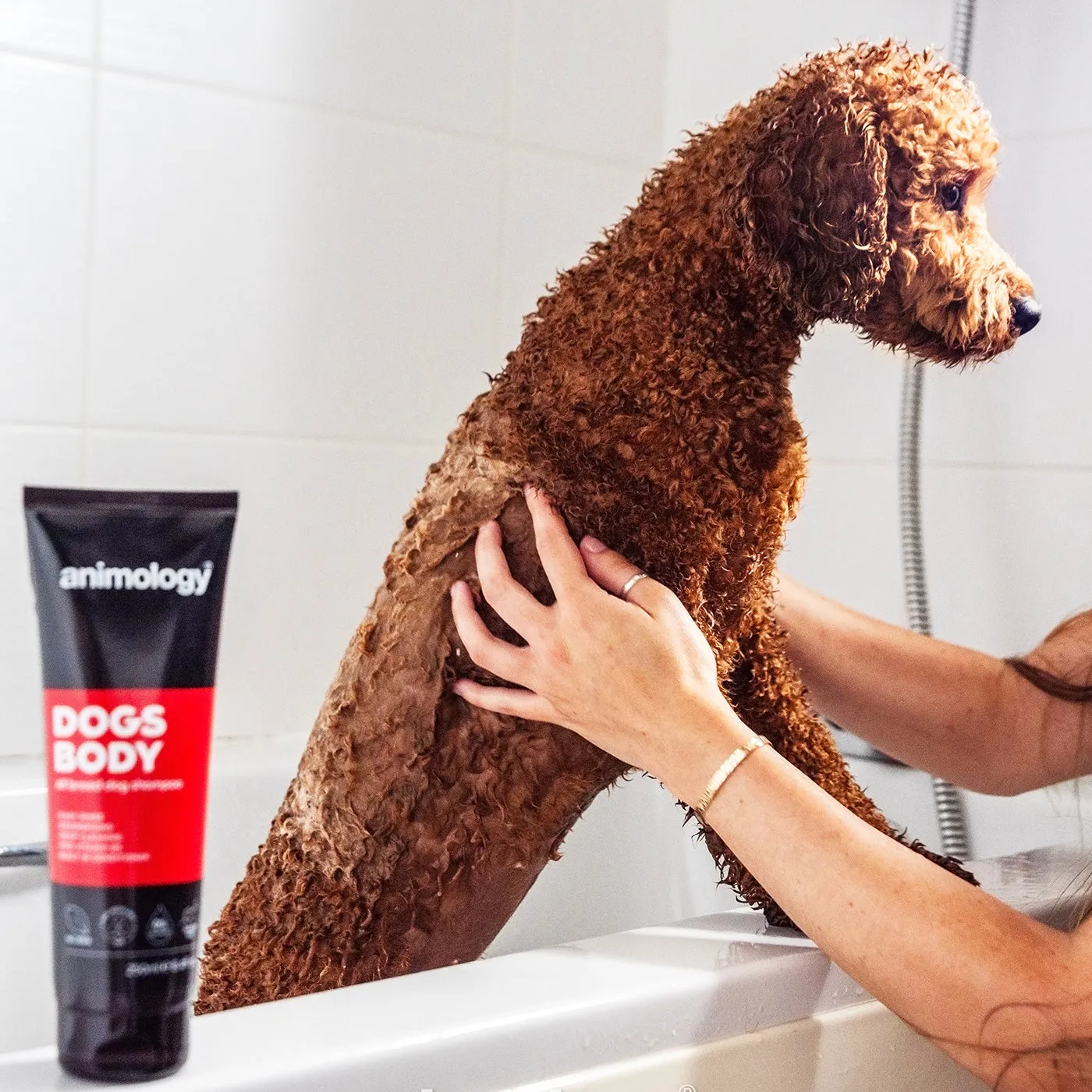 Animology Dogs Body Shampoo