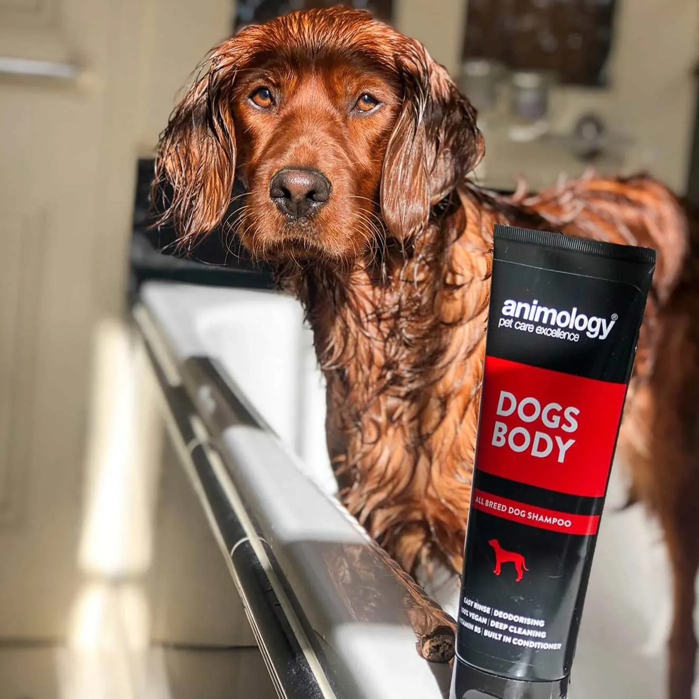 Animology Dogs Body Shampoo