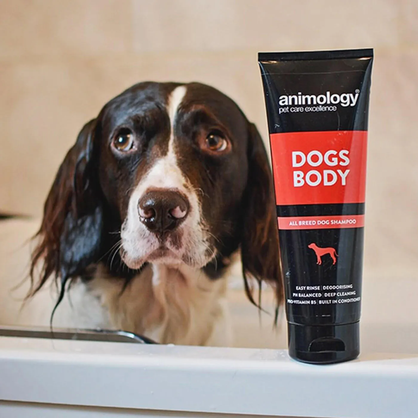 Animology Dogs Body Shampoo