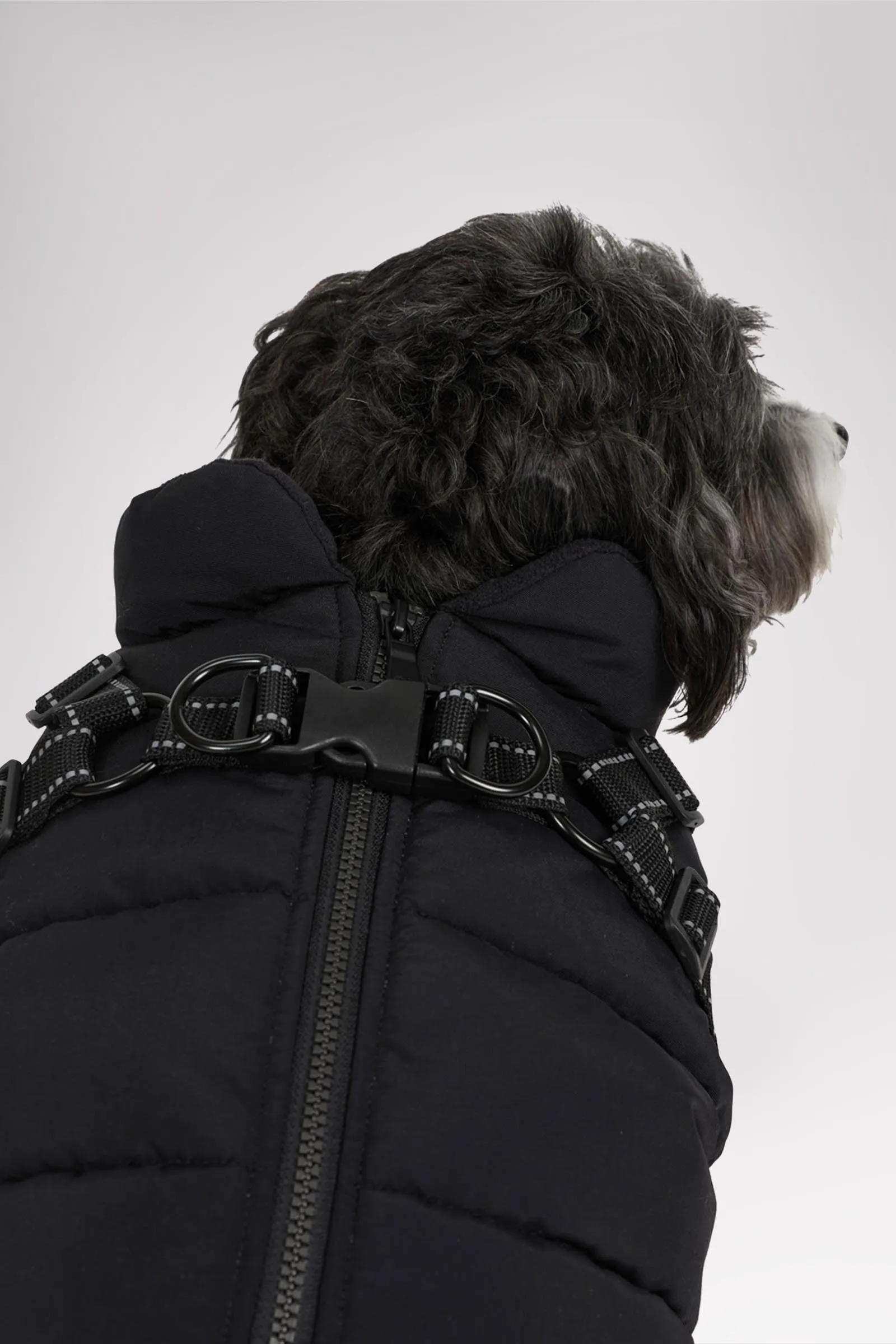 Atlas Puffer Jacket with Built-In Harness for Dogs