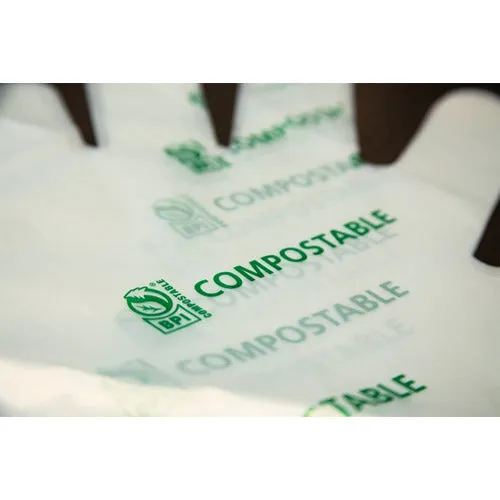 Compostable Food Service Preparation Gloves - Medium