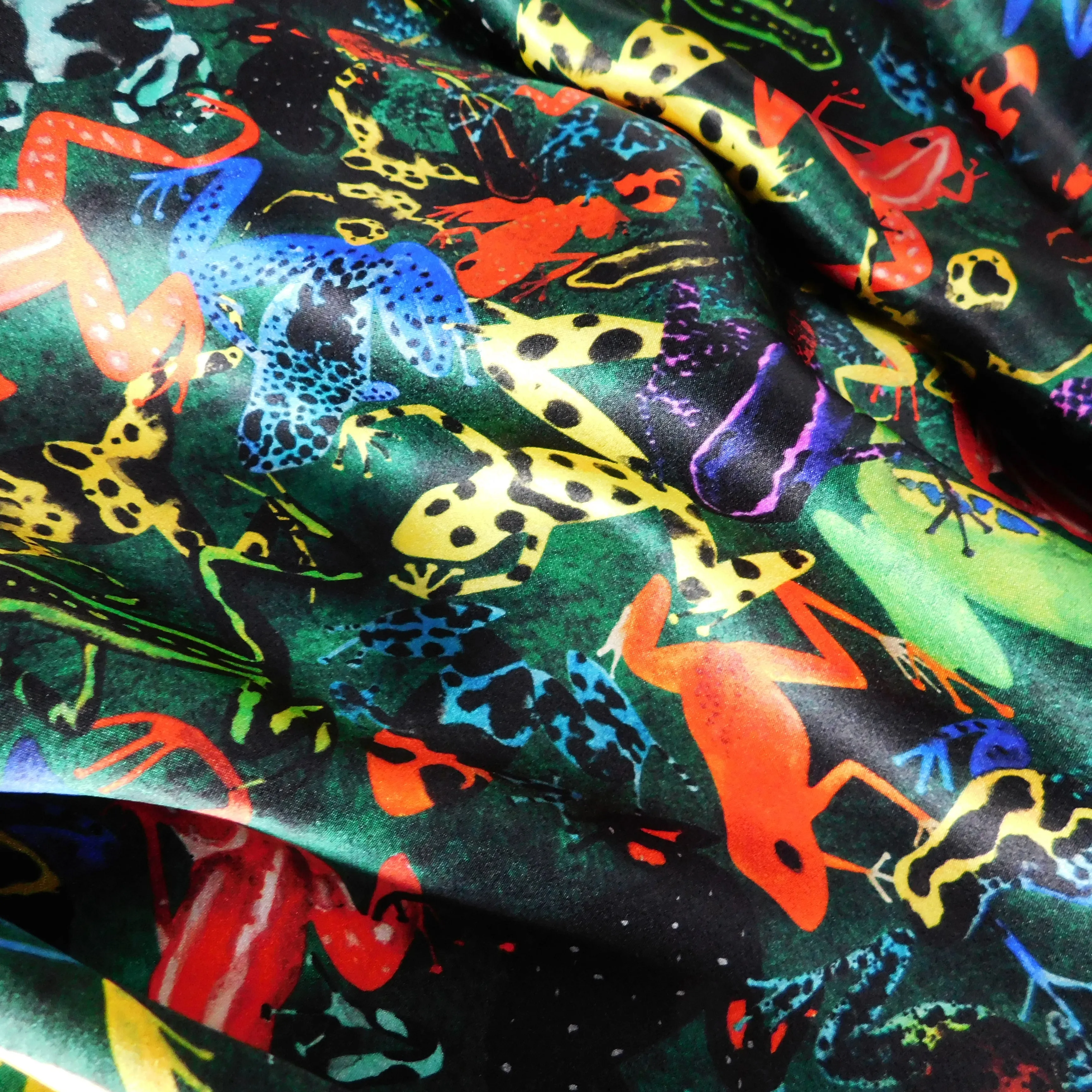 Dendrobatidae Dart Frog Print Silk Scarf