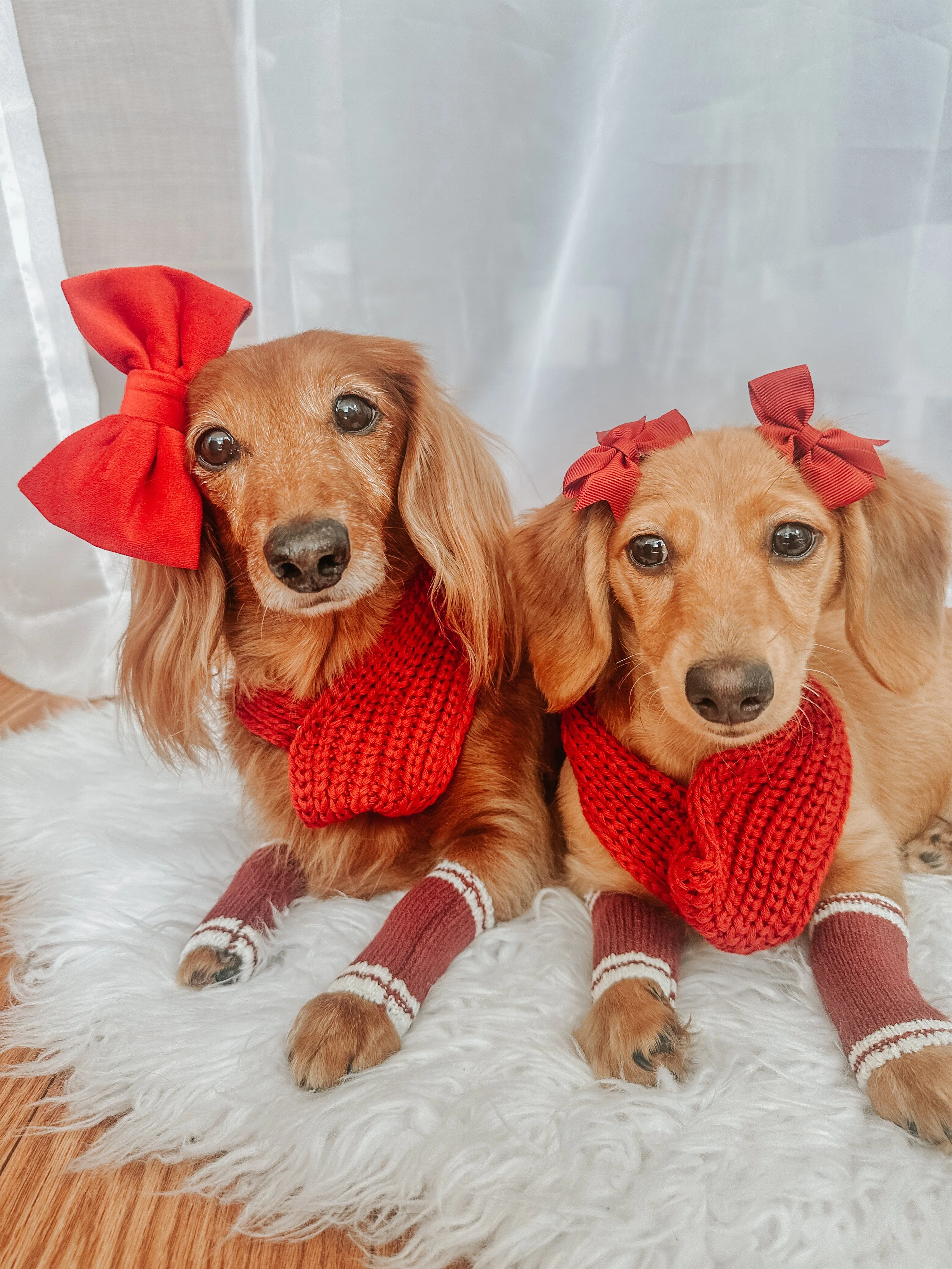 Dog Bundle - Infinity Scarf & Leg Warmers