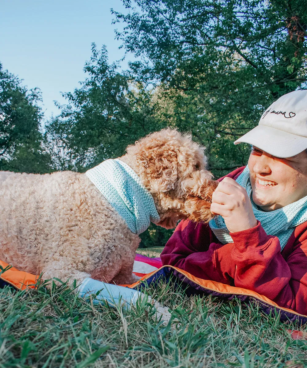 Dog Bundle - Infinity Scarf & Leg Warmers