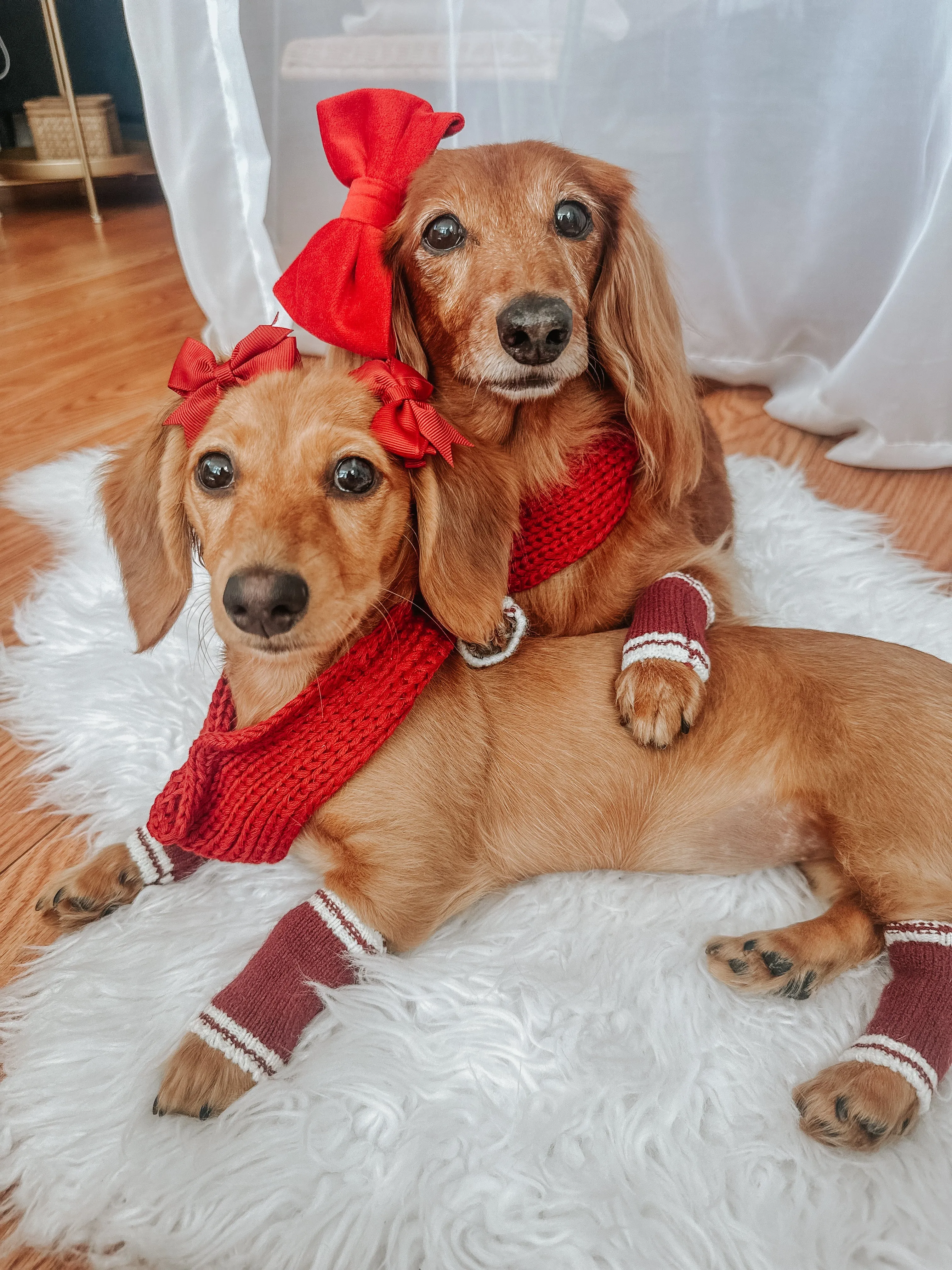 Dog Bundle - Infinity Scarf & Leg Warmers