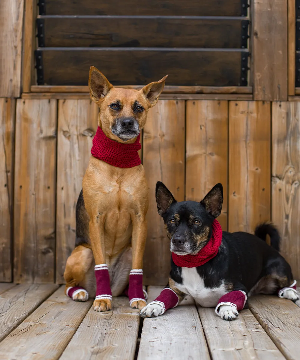 Dog Bundle - Infinity Scarf & Leg Warmers