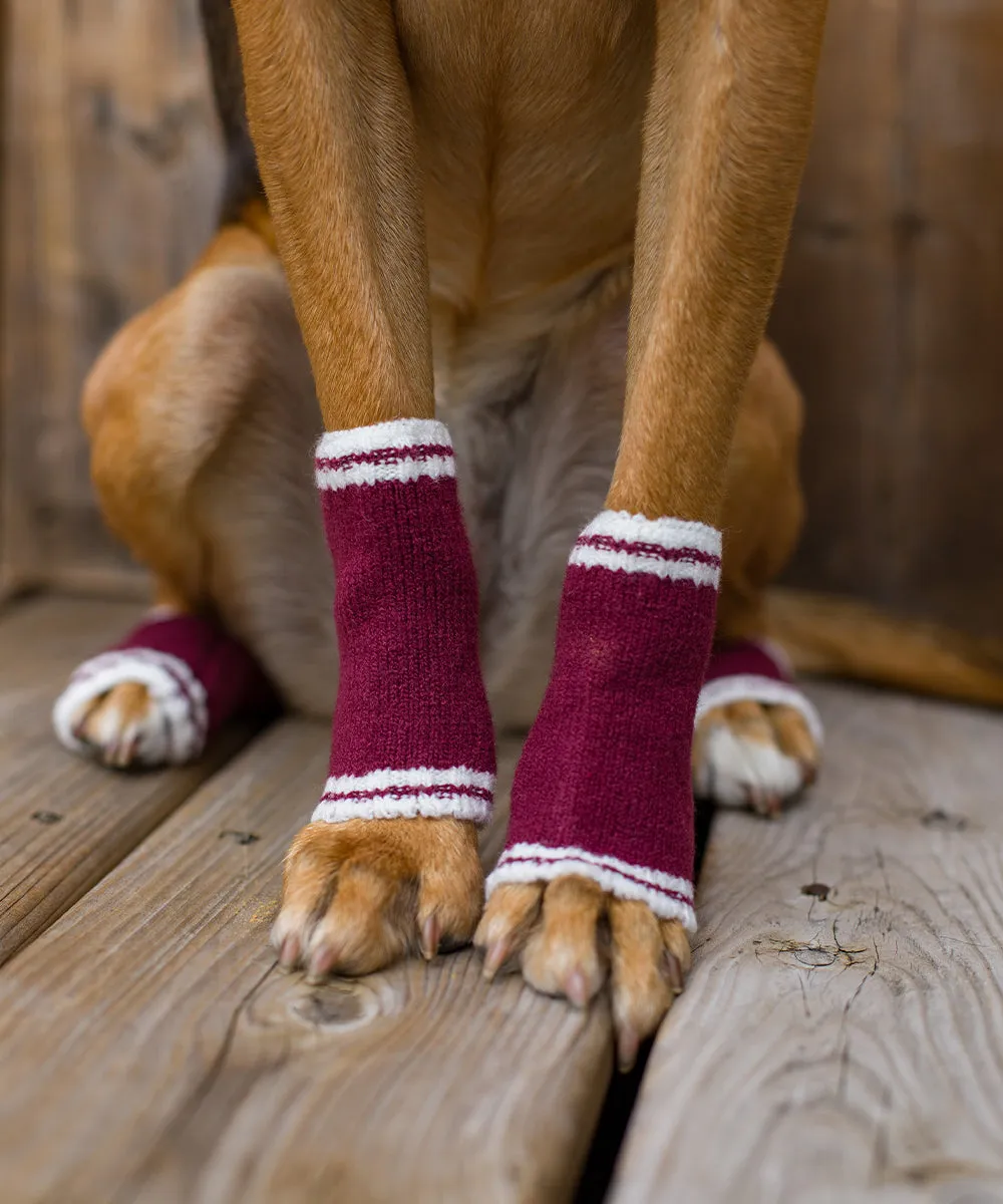 Dog Bundle - Infinity Scarf & Leg Warmers