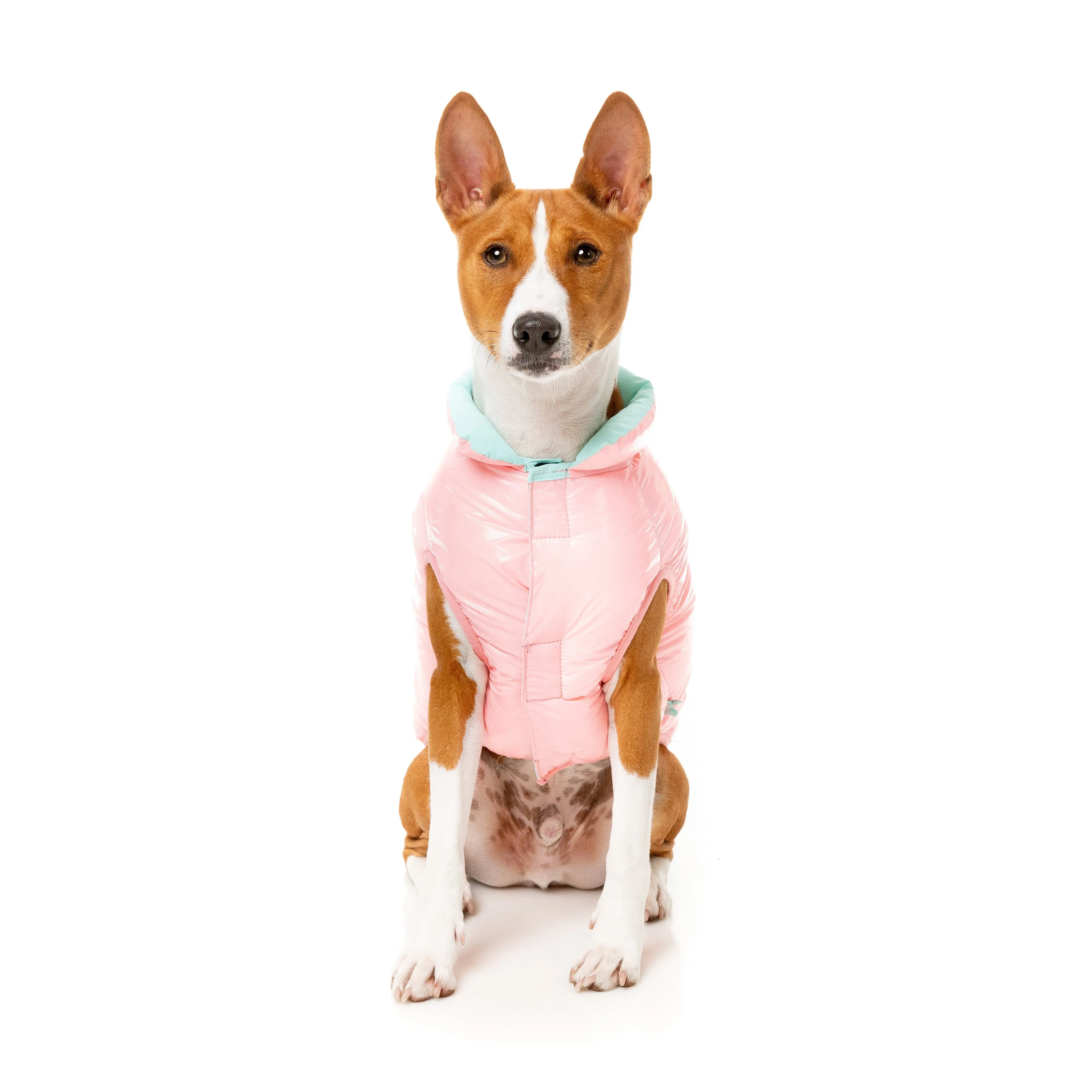 FuzzYard Dog Apparel Amor Puffer Jacket Bubblegum Pink and Mint Size 1 XXSmall***