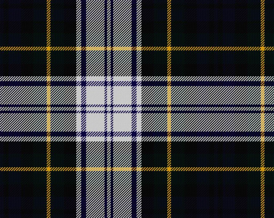 Gordon Dress Modern Tartan Scarf