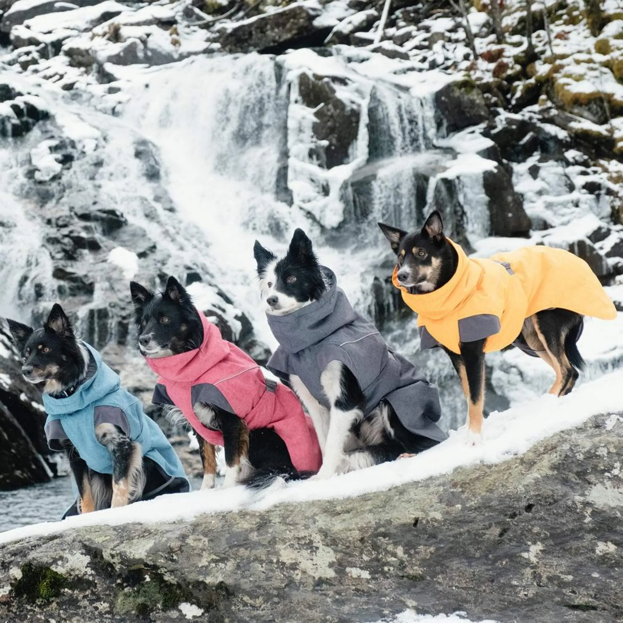 Hurtta Expedition Dog Parka - Bilberry