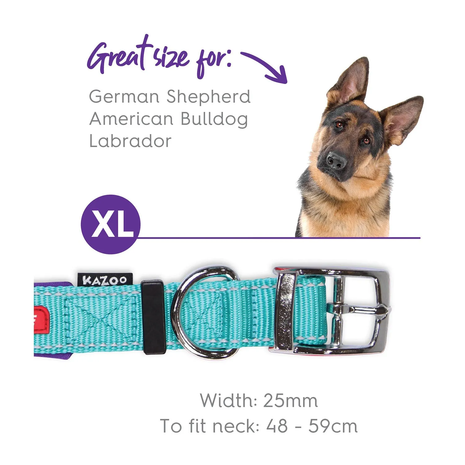 Kazoo Active Dog Collar Aqua & Purple