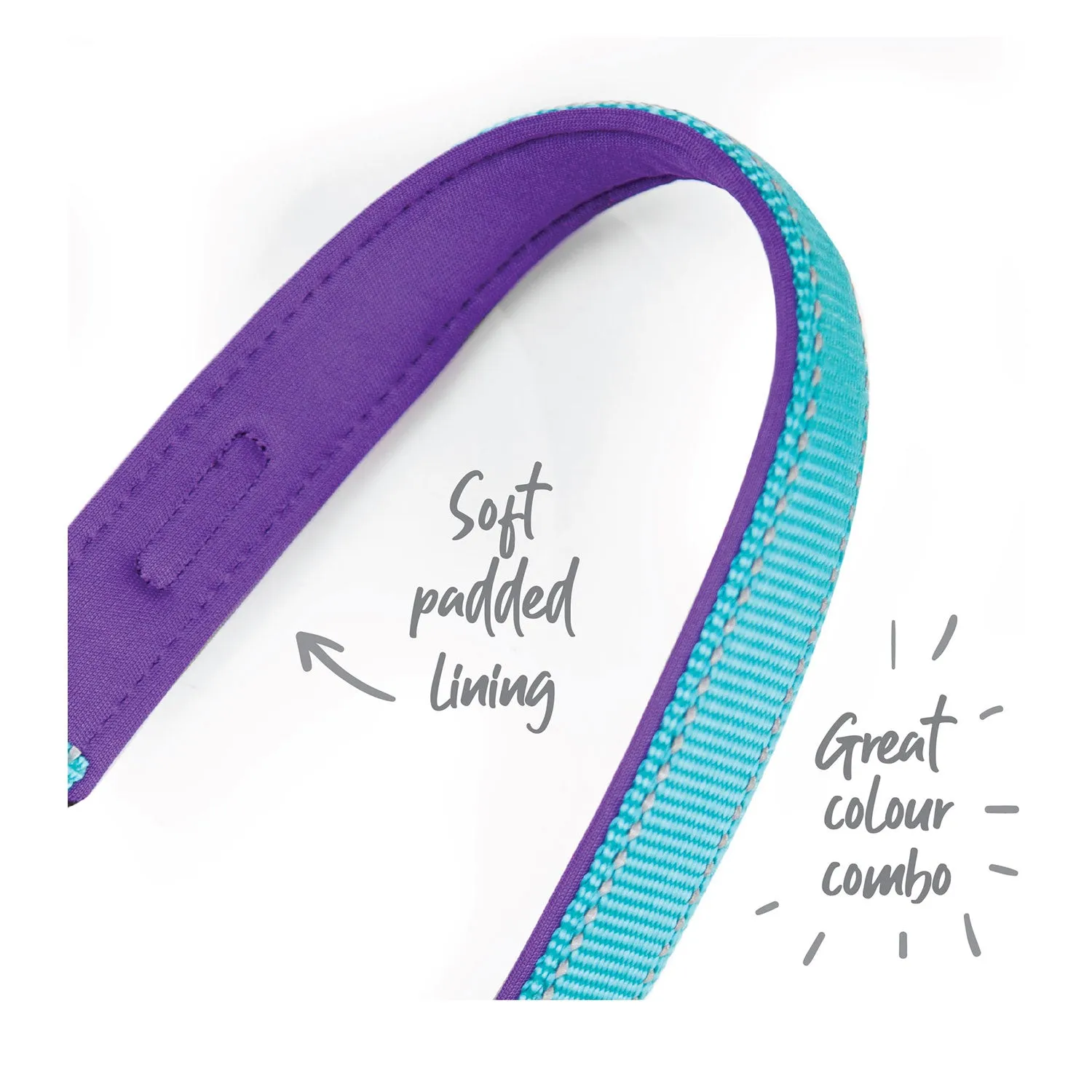 Kazoo Active Dog Collar Aqua & Purple