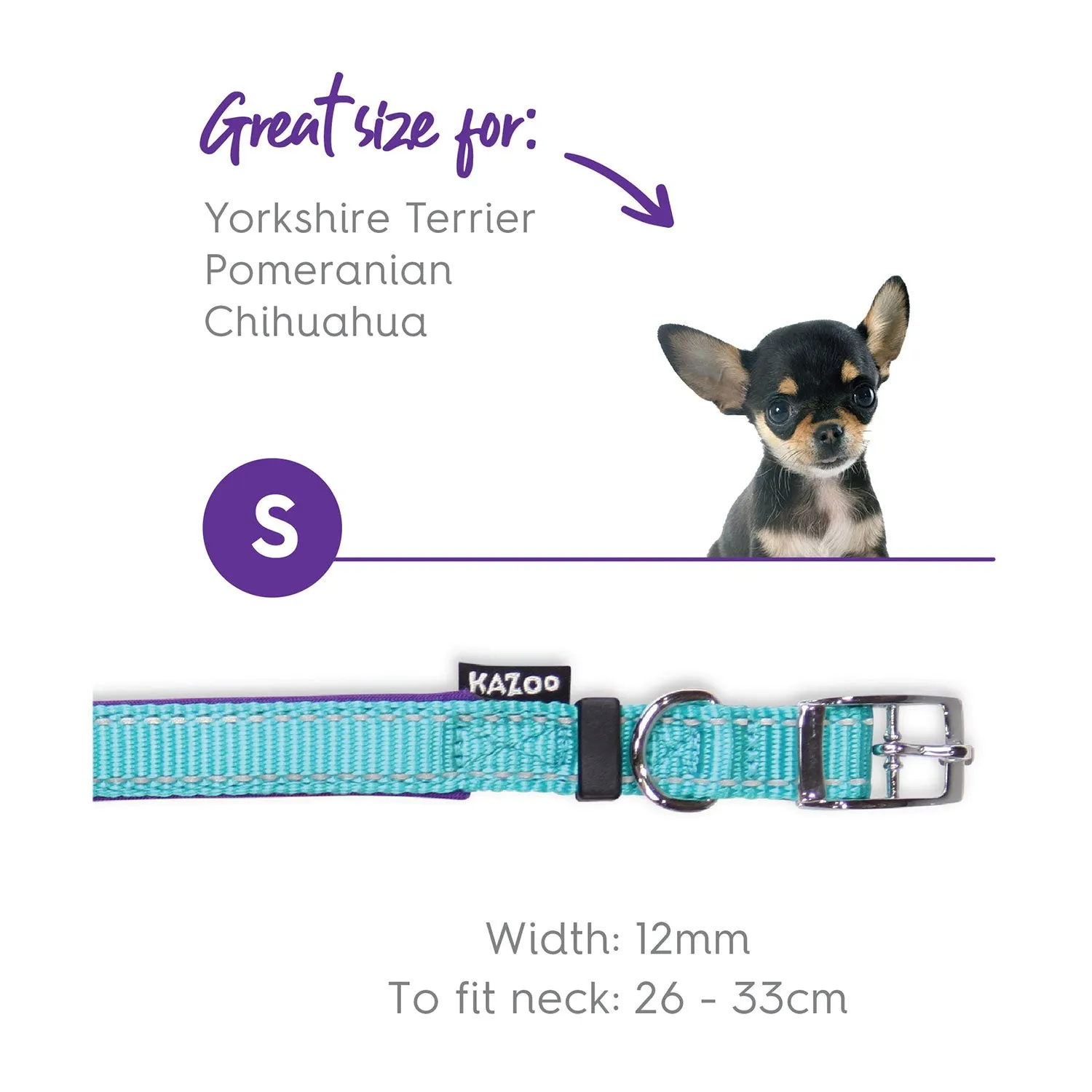 Kazoo Active Dog Collar Aqua & Purple