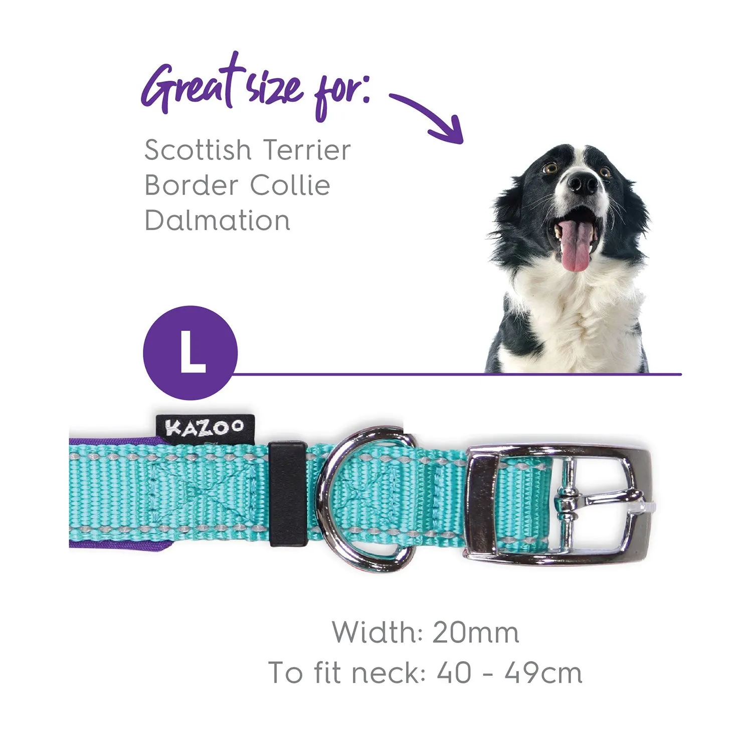 Kazoo Active Dog Collar Aqua & Purple