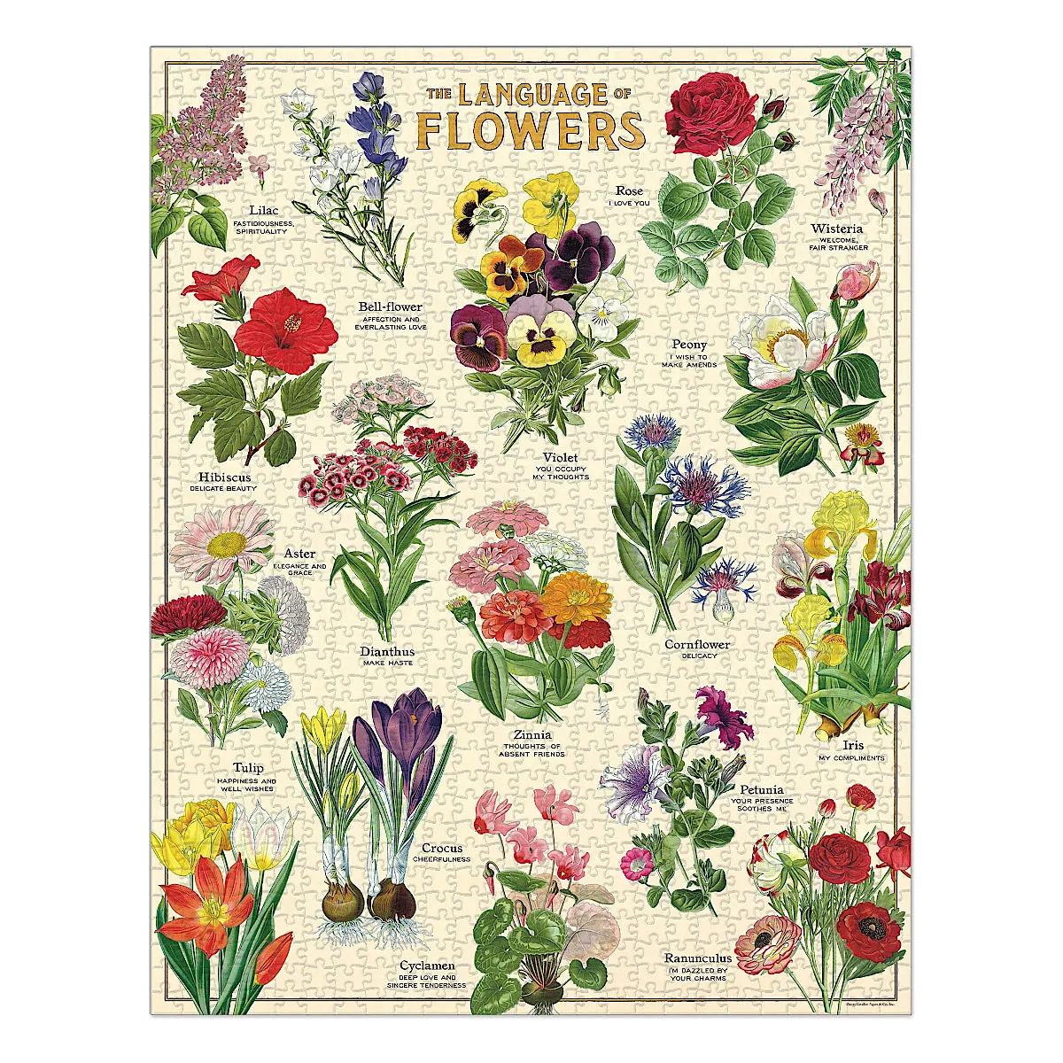 Language of Flowers Puzzle