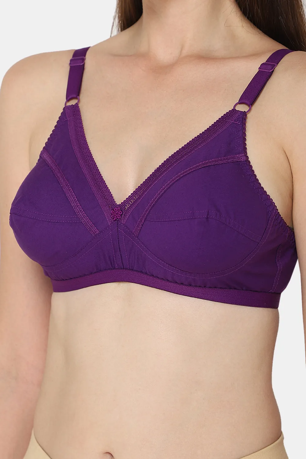 Naidu Hall Heritage-Bra Special Combo Pack - Naturalle - C34