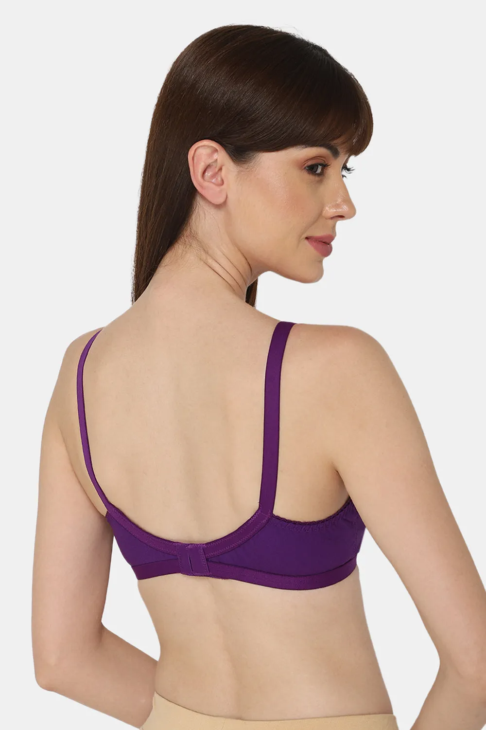 Naidu Hall Heritage-Bra Special Combo Pack - Naturalle - C34