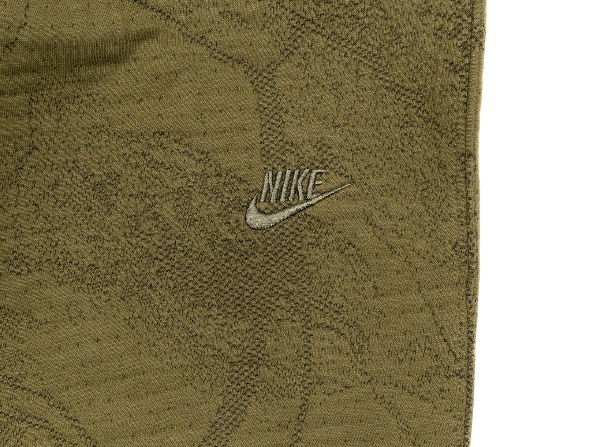 Nike Sportswear Therma-Fit ADV Tech Fleece Pants in Pilgrim