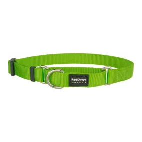 Red Dingo Dog Martingale Collar Lime Green (25mm x 41-63cm)