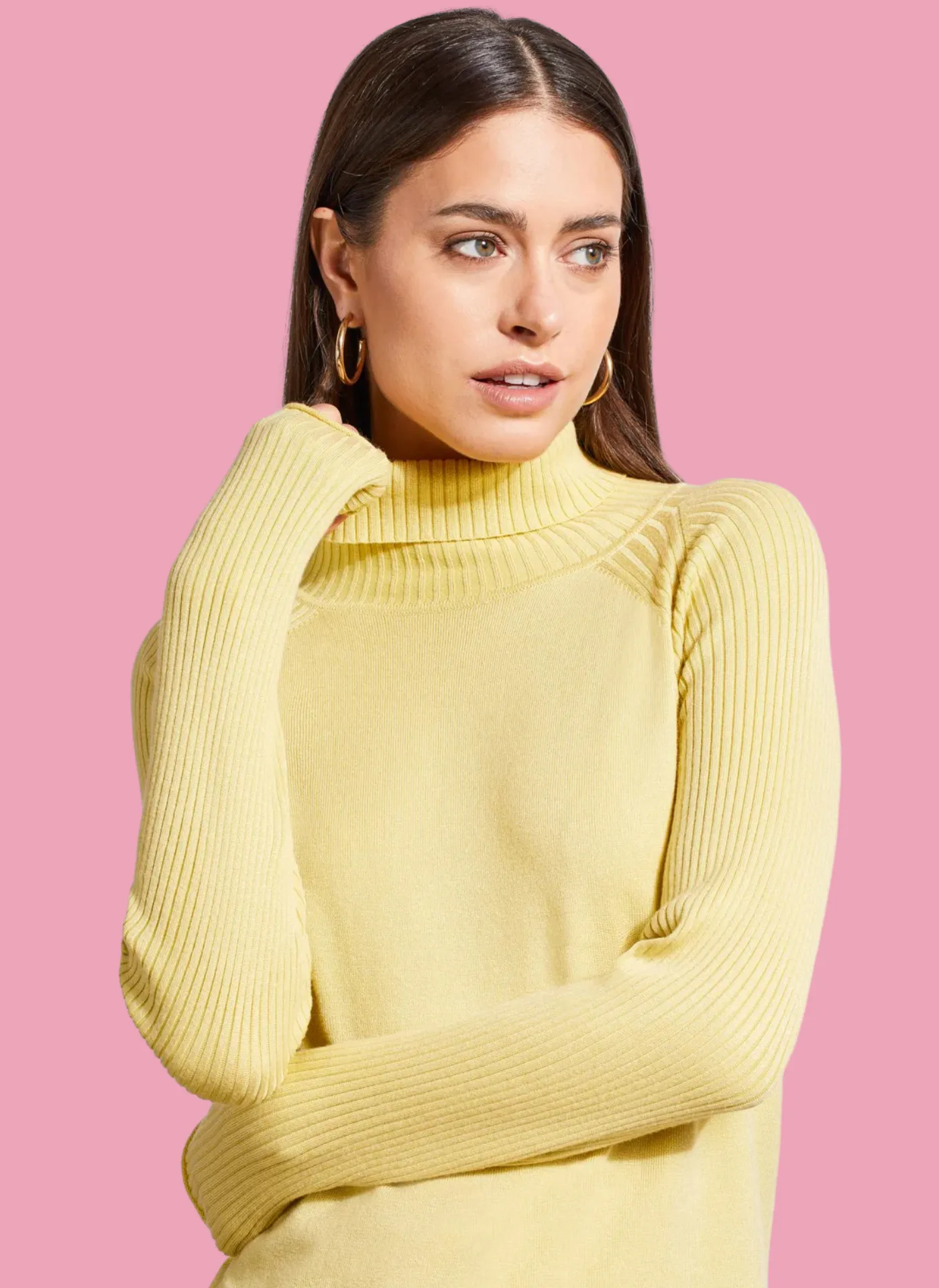 Ribbed Long Sleeve Turtleneck