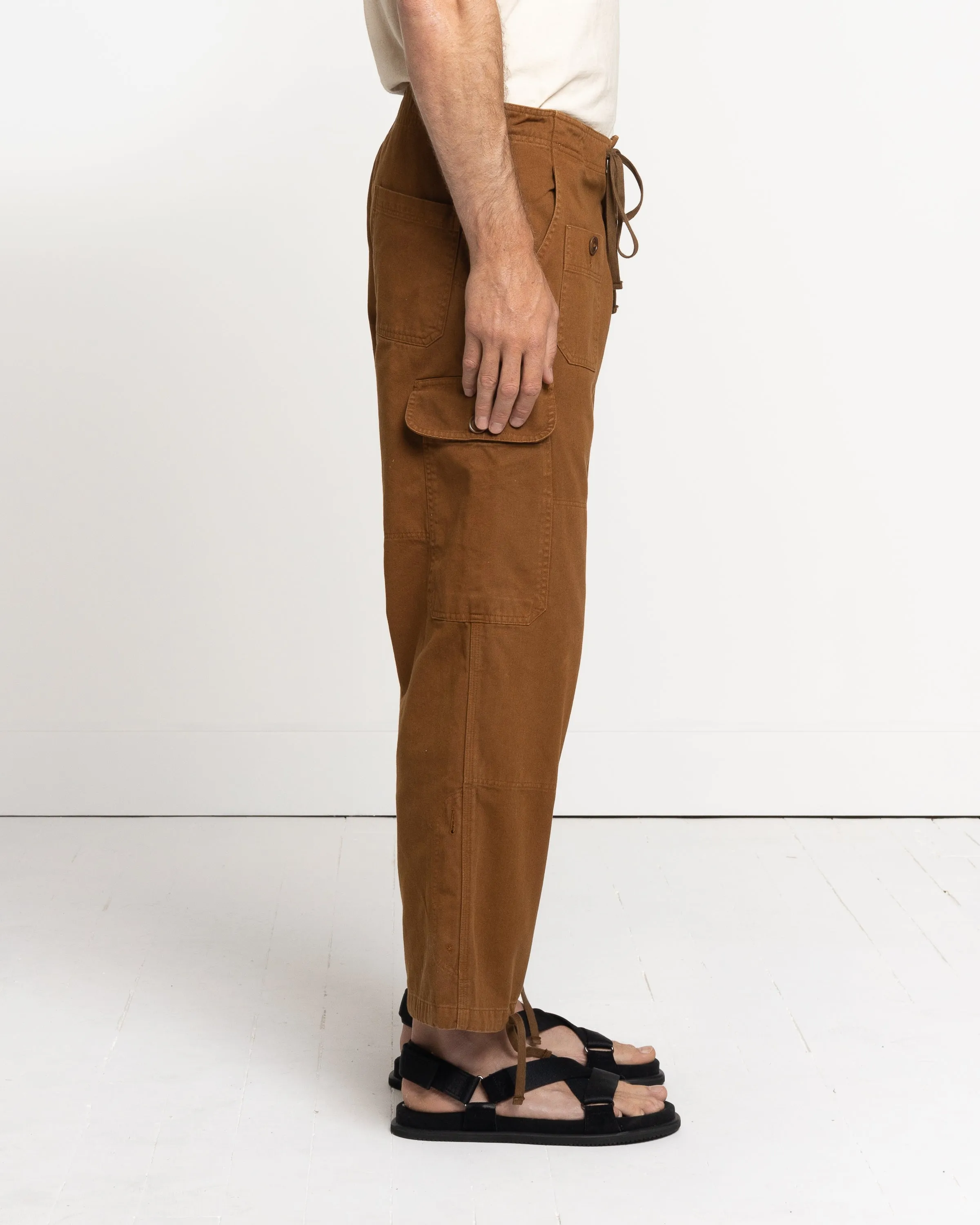 Sei Cargo Pant in Chestnut