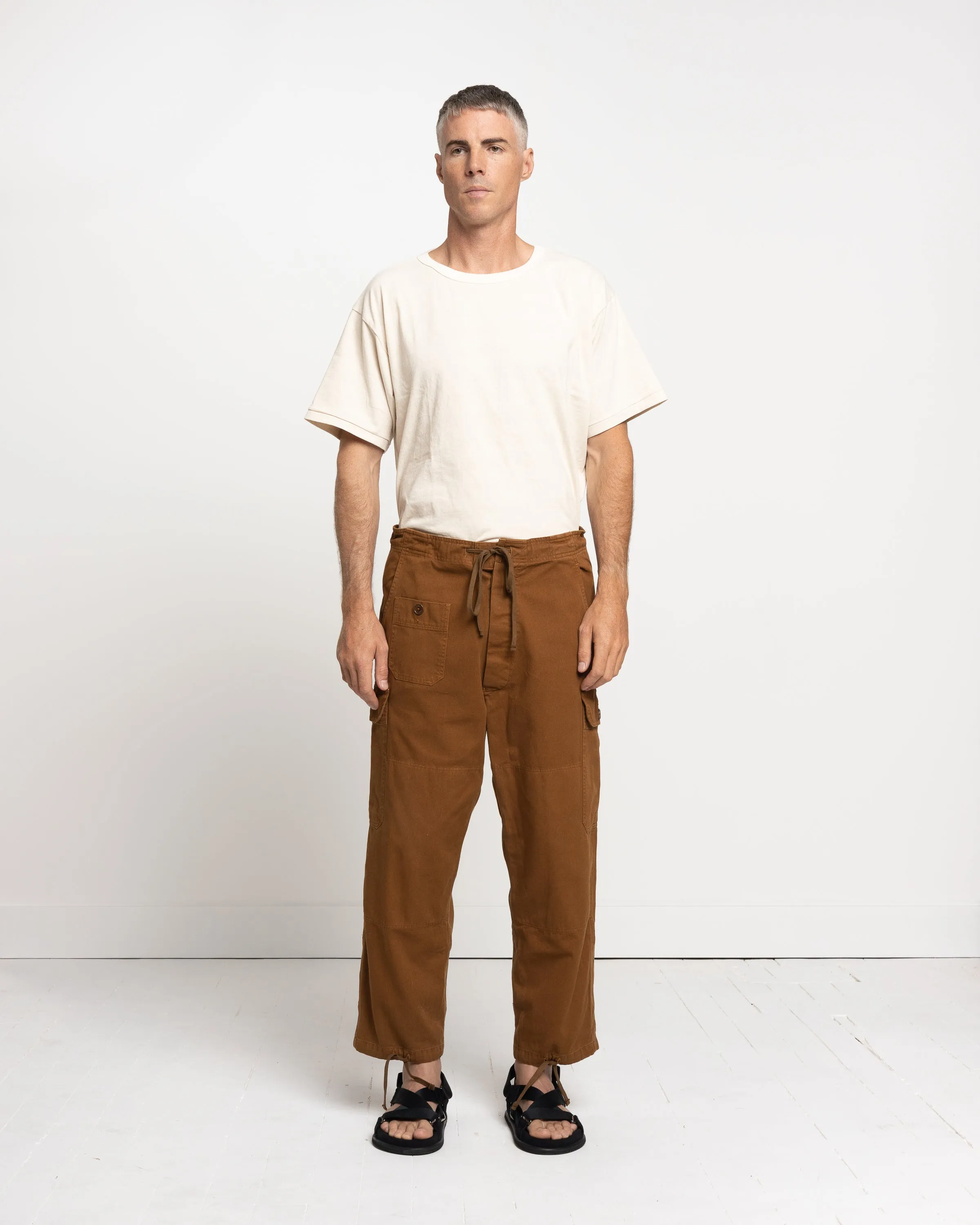 Sei Cargo Pant in Chestnut