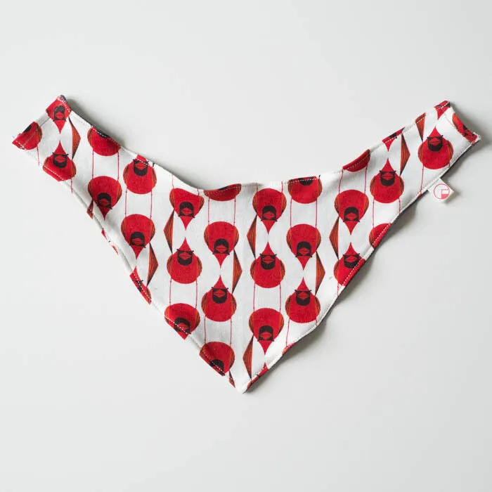 Small Doggy Bandana