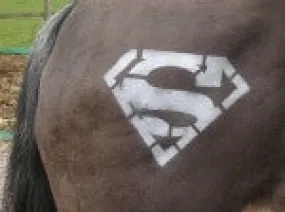 Stencil - Superman