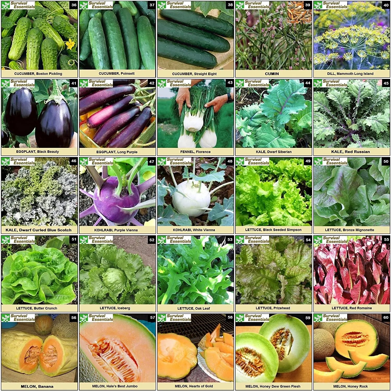 Survival Essentials Seeds Premium Heirloom Seeds Box - 135 Varieties - Over 23,000 Seeds