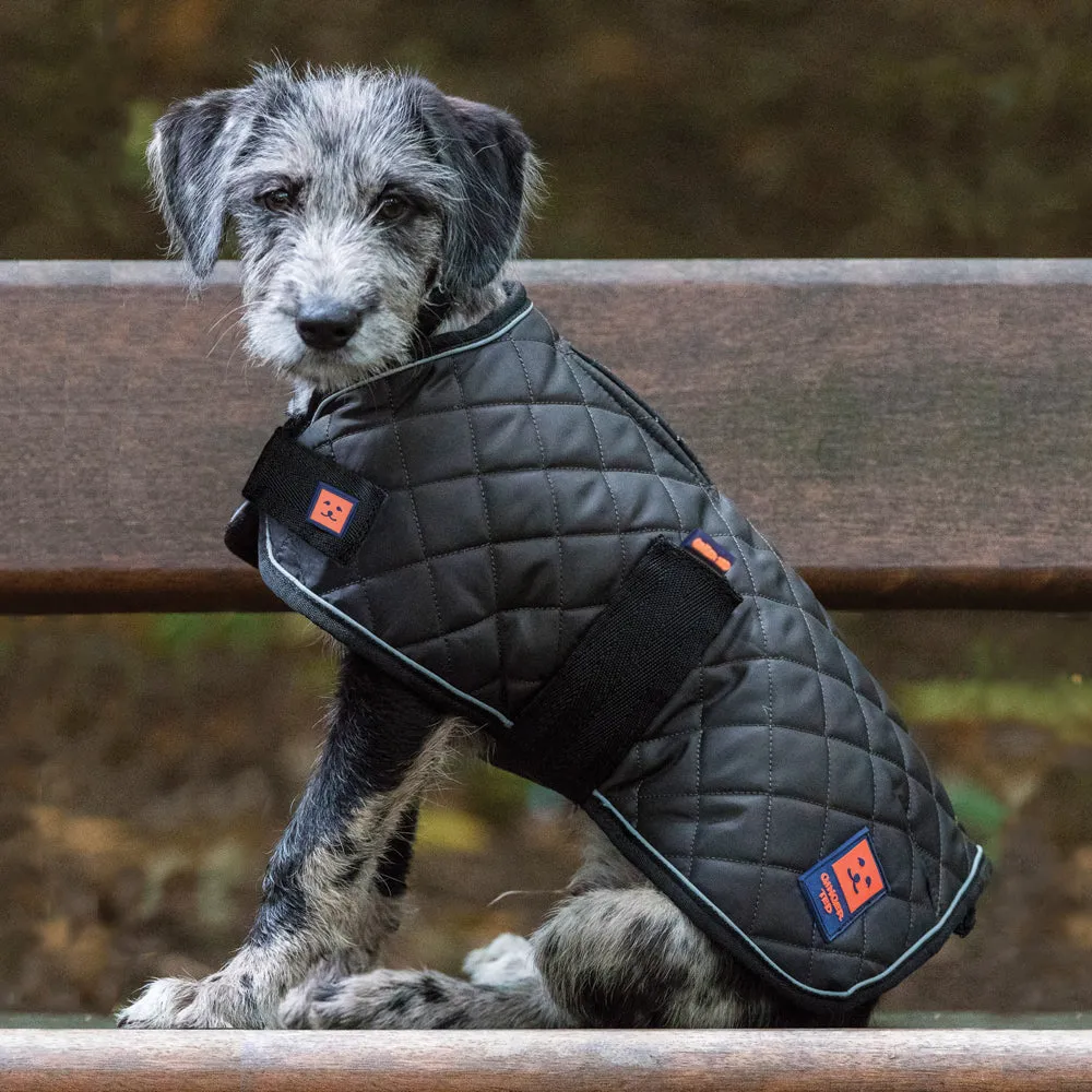 Thermal Harness Quilted Dog Coat