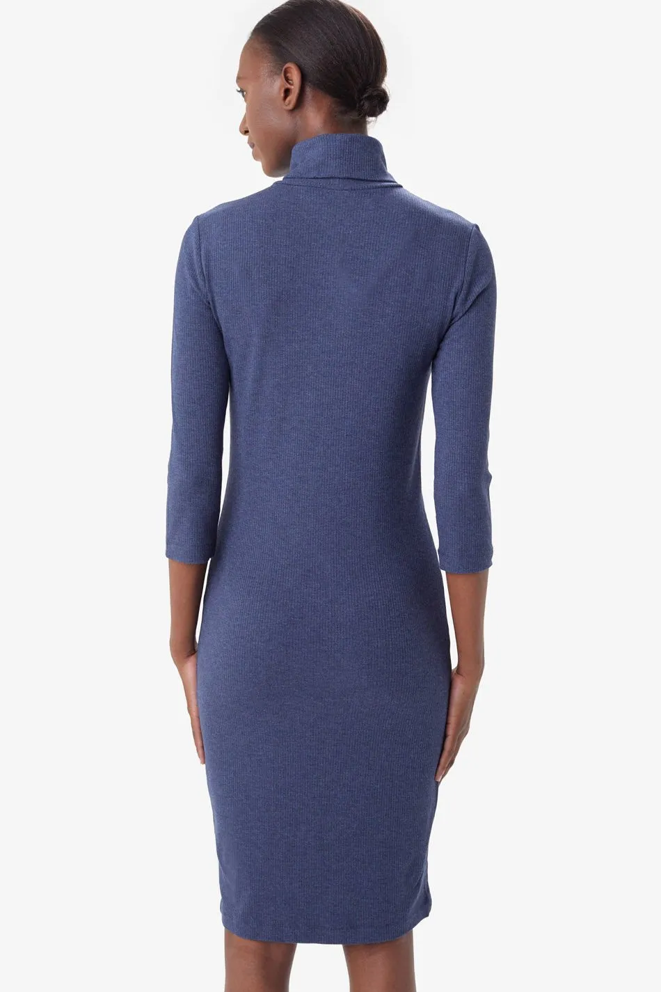 VILLERAY TURTLENECK DRESS