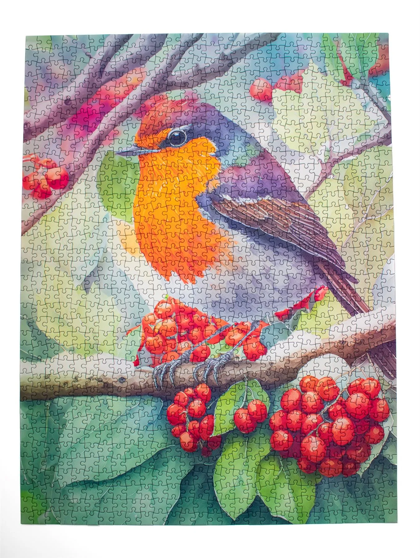 Winter Robin 1000 Piece Jigsaw Puzzle